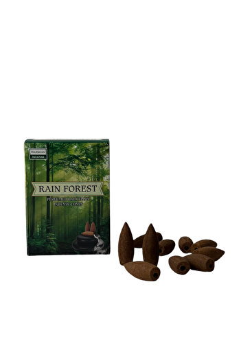Morey Darshan Rain Forest Geri Akış Tütsü 1 Paket 10 Geri Akış Tütsü