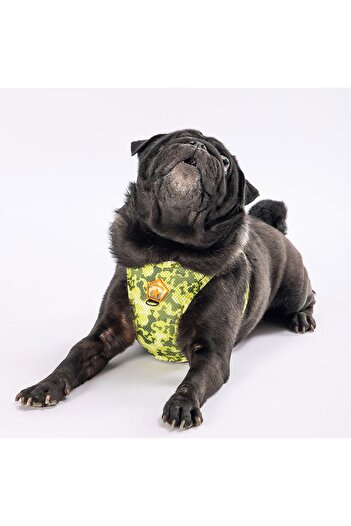 Pawstar Greenossa Air-mesh Chest Collar Cat Dog Chest Collar