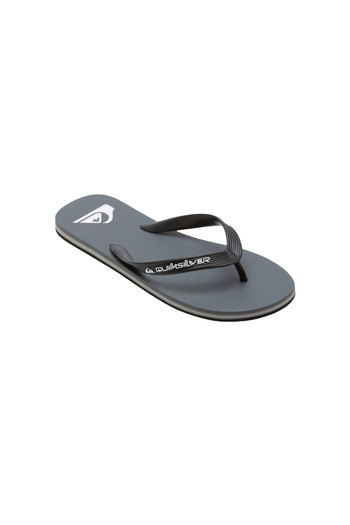 Quiksilver Men's Slippers Molokai Core Gray Men's Slippers Aqyl101325