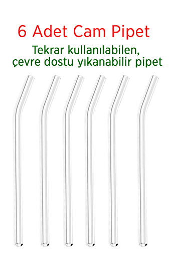 KCA HOME Transparent Glass Straw 6-Piece Glass Inclined Straw (Heat Resistant)