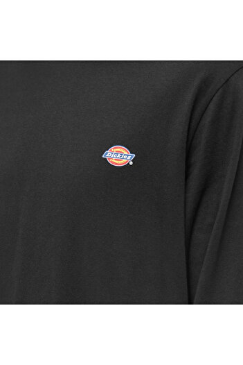 Dickies Long Sleeve Mapleton T-Shirt