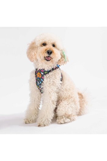 Pawstar Dino Air-mesh Chest Collar Cat Dog Chest Collar
