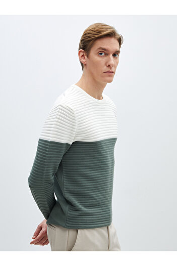 LC Waikiki Crew Neck Long Sleeve Color Blocked Men's Knitwear Sweater