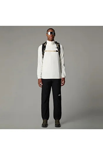 THE NORTH FACE 100 Glacier 1/4 Zip Чоловіча світло-бежева кофта з круглим вирізом