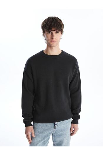 LC Waikiki LCW Casual Bisiklet Yaka Uzun Kollu Erkek Triko Kazak