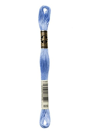 Dmc 2 Muline Yarns with Number 809