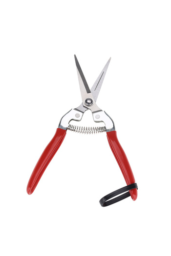 Choice type1 Sturdy Fruit Tree Bonsai Gardening Pruning Shear Garden Scissors Pruner Tool Fruit Scissor Gar