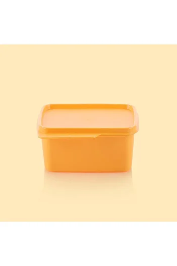 Tupperware Square Storage 500ml