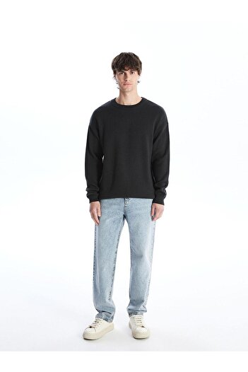 LC Waikiki LCW Casual Bisiklet Yaka Uzun Kollu Erkek Triko Kazak