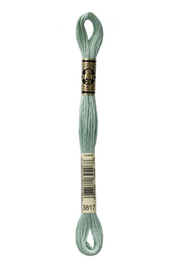 Dmc 3817 Model 2 Pieces Muline Yarn