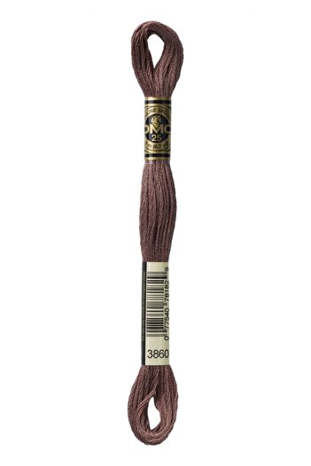 Dmc 2 Pieces of Muline Yarn with 3860