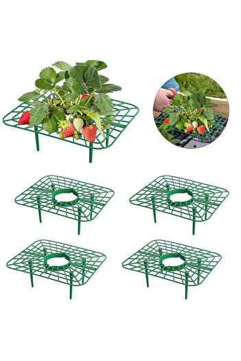 Choice 10pcs 10 Packs Square Strawberry Support Stand Holder Growing Frame Keep Berries Clean