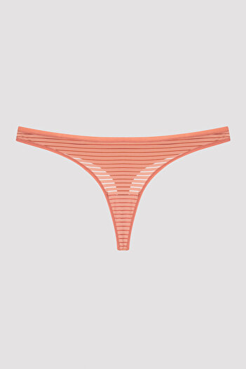 Penti Gül Kurusu Nude Colors Külot