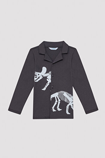 Penti Erkek Çocuk Fosil Pijama Set