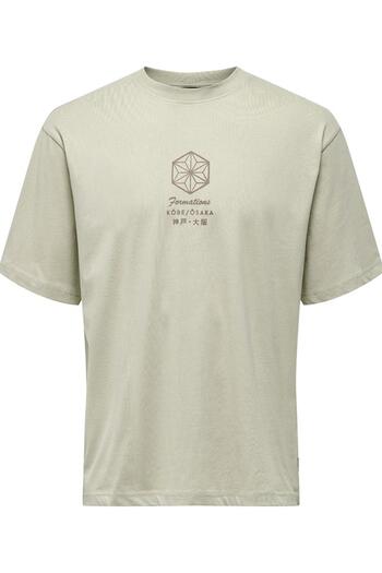 Only & Sons Onsmalik Life Rlx Ss Tee 22029484 Silver