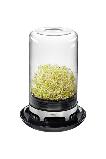 GEFU Bivita Spounting Seed Propagator Jar with Ventilated Base