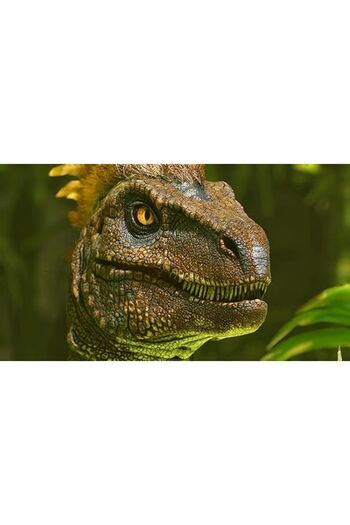 Wildcard Ark: Survival Ascended PS5
