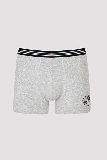 Penti Gri 2li Mid Boxer-keith Haring Koleksiyonu