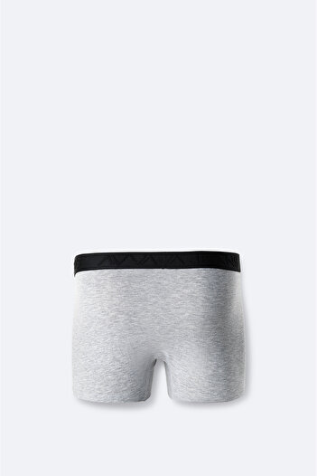 Avva Erkek Gri Basic Pamuklu Tekli Regular Fit Boxer B009510