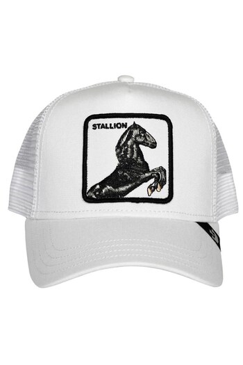 Goorin Bros Stallion 101-9991