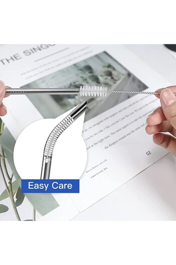 Righton 6 Piece Stainless Metal Straw Set