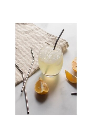 Righton 6 Piece Stainless Metal Straw Set