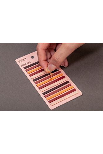 GUGUK Coral 15 Colored Transparent Pet Index • Index Sticker • Post-It • Sticky Note
