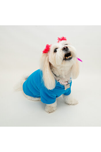Buddy Store Kedi & Köpek Kıyafeti Elbisesi Giysileri Sweatshirt - Adidog Baskılı Mavi Sweatshirt