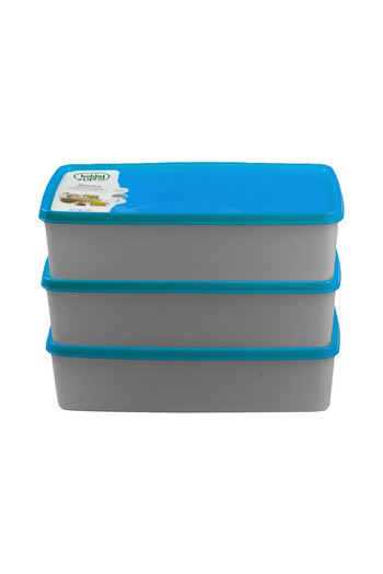 Tuppee Alaska Nofrost Storage Container 2 Liters 3 Pieces (-20 Degree Resistant)