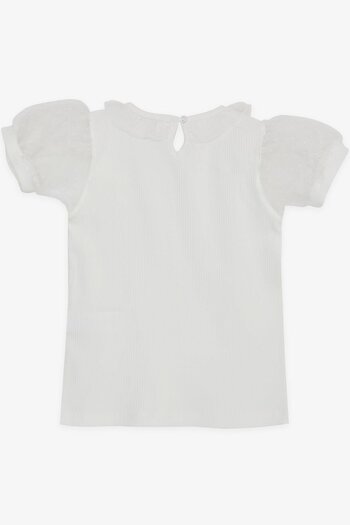 Breeze Girl's T-Shirt Sleeves Tulle Collar 7-12 Years, Ecru