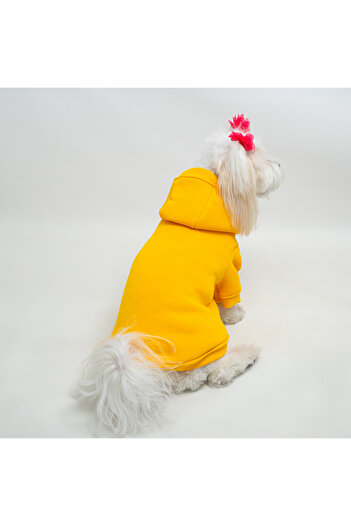 Buddy Store Kedi & Köpek Kıyafeti Elbisesi Giysileri / Elbisesi - Baskısız Sarı Sweatshirt (%100 PAMUK)