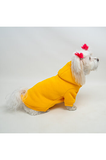 Buddy Store Kedi & Köpek Kıyafeti Elbisesi Giysileri / Elbisesi - Baskısız Sarı Sweatshirt (%100 PAMUK)