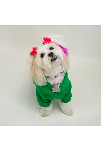 Buddy Store Cat & Dog Apparel Clothes Apparel Sweatshirt - Unprinted Green Sweatshirt
