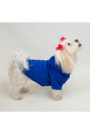 Buddy Store Saks Blue Hooded Cat & Dog Outfit Sweat - Unprinted Dress