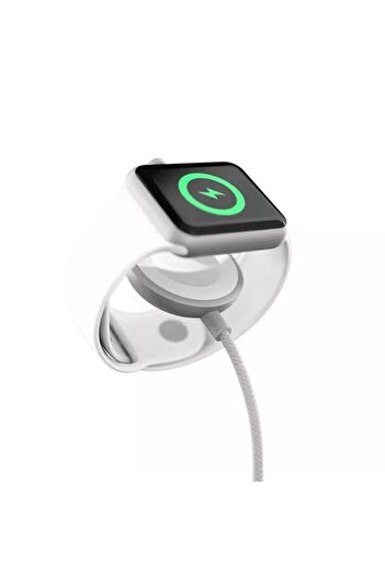 Epico Apple Watch Şarj Kablosu USB-C 1.2 metre - Gümüş