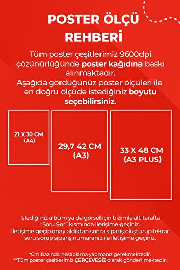 Anime Marketi Eminem The Eminem Show Albümü Baskılı Duvar Posteri Çerçevesiz