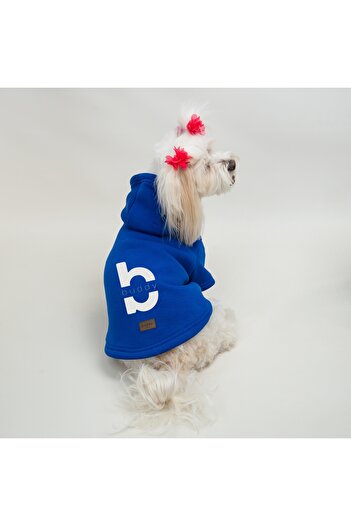 Buddy Store Buddy Printed Saks Blue Cat and Dog Outfit Sweat Dress