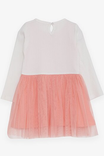 Breeze Girl's Br Long Sleeve Dress Tulle Ecru Soft (3-8 Years)