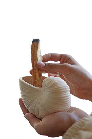 sin istanbul Palo Santo Ağaç Tütsü 20 gr