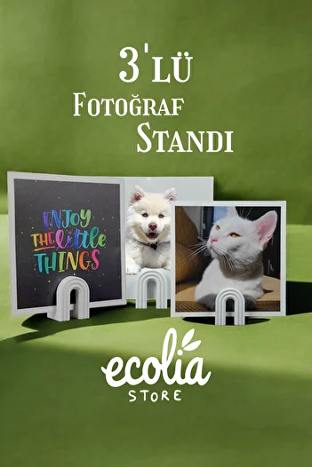 Main Collectibles Minimalist Photo Stand - Set of 3