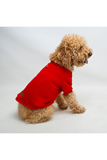 Buddy Store Angry Face Printed Red Hoodless Sweatshirt - Cat and Dog Apparel Design