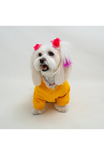 Buddy Store Adidog Printed Yellow Cat & Dog Sweat Dress - Outfit