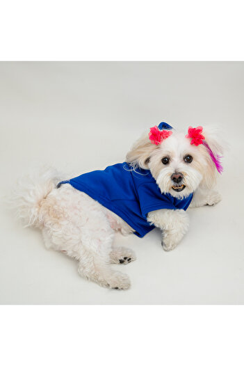 Buddy Store Saks Blue Panda Printed Cat and Dog Sweat Dress
