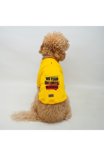 Buddy Store Cat and Dog Outfit Dresses - No Fear Printed Yellow Hoodless Sweat