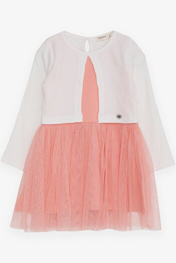 Breeze Girl's Br Long Sleeve Dress Tulle Ecru Soft (3-8 Years)