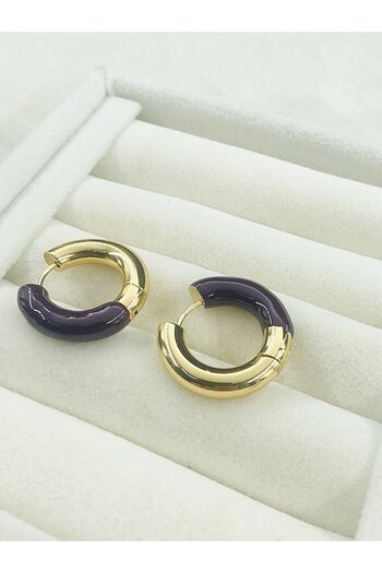 DS DİAMONDSHOP Halka Model Steel Earrings - Byçkp- 202411339