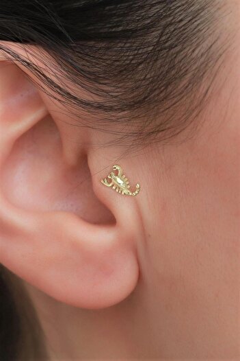 Bayar Gold 14 Ayar Altın Akrep Tragus Piercing