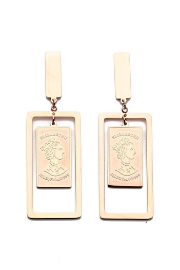 Modex Rose Colored Steel Dangle Medallion Earrings (6cm)