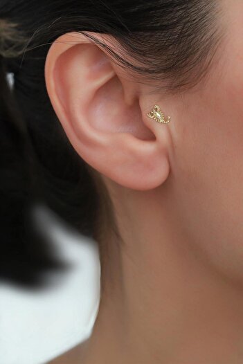 Bayar Gold 14 Ayar Altın Akrep Tragus Piercing
