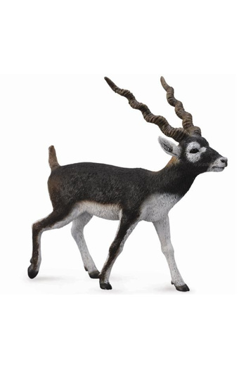 Collecta Χειροποίητο ειδώλιο αντιλόπης Blackbuck